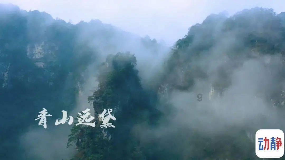 陇西县书法家协会开展“万福迎春” 送春联活动
