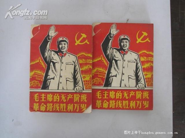 夏日时尚的爱丽