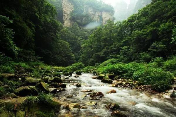 潍坊市临朐县山旺镇：执“美丽河湖”之笔 绘就生态山旺“绿水青山”